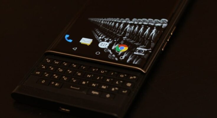 blackberry 2690103 1280