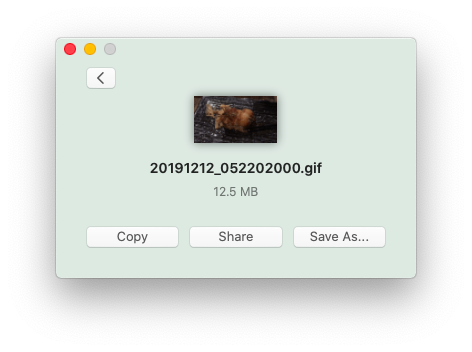 如何將影片轉換成 GIF 動態圖檔？