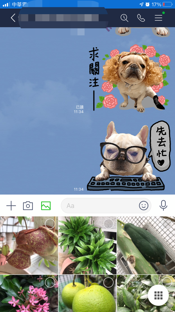 Iphone實用教學 Ios14更新後 Line和wechat傳照片時無法瀏覽所有照片該怎麼辦 Line 想要取用您的照片 人生領航員獅子心